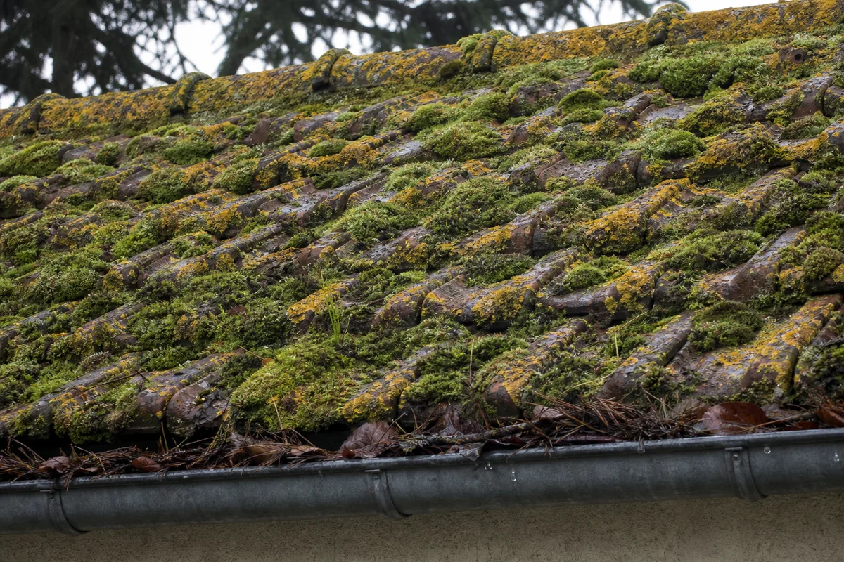 Pan de toiture en tuiles mécaniques envahi de mousse côté nord sur un pavillon du Nord-Essonne